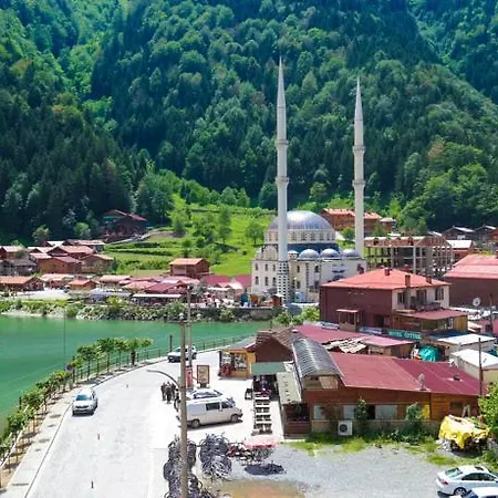 Grand Uzungol Otel 4*
